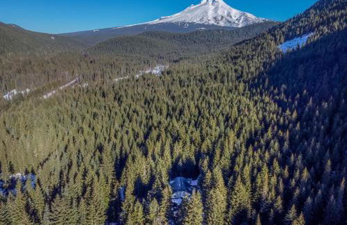 The Coho Lodge at Government Camp - Meredith Lodging - Foto 77