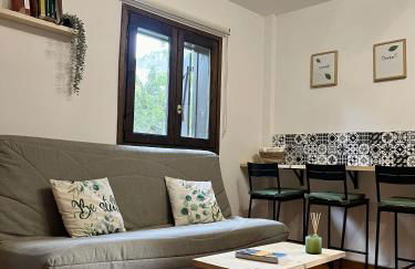 Estudio Las Perseidas - Vall de Boí - Foto 3