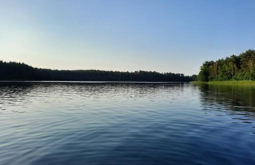 Między Sosnami - Foto 59