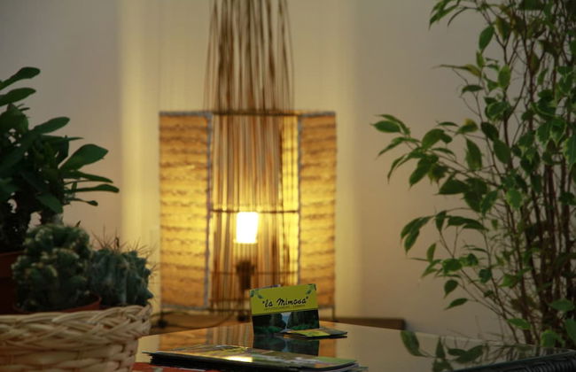 La Mimosa - Photo 4