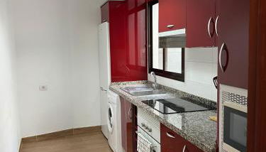 Detail Caballo Blanco I - Foto 3