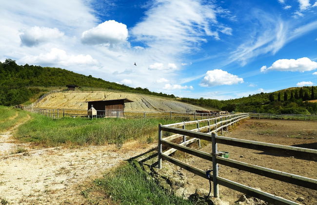 Agriturismo La Canonica - Photo 27