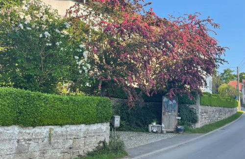 Ferienhof"WaldEsel Rippersroda" - Foto 70