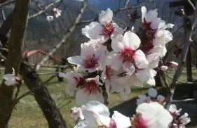 Villa Rustica - Photo 92