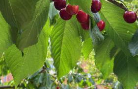 Langham Lake House Milton Keynes - ideal for couples, solo travellers, families - Foto 2