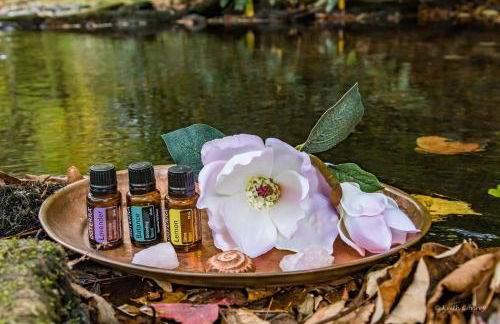 Magnolia Streamside Resort - Foto 21