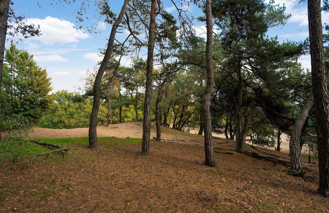 Holiday Home in Kaatsheuvel With hot tub - Foto 36