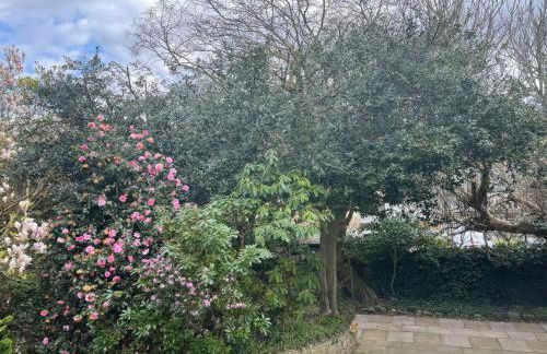 Gweryl Lodge - Foto 49