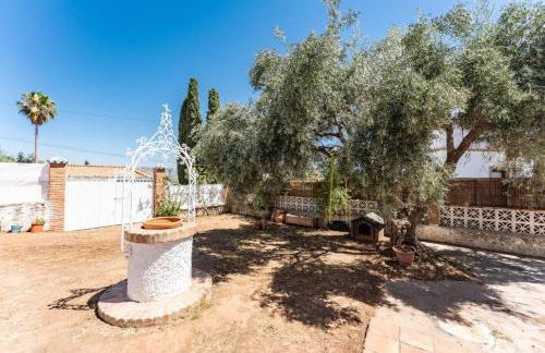 Villa Alegría Málaga Jardín privado y relax cerca del aeropuerto - Photo 17