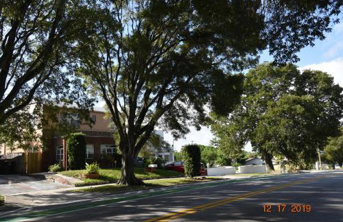 Palm Beach Mermaid - Foto 40