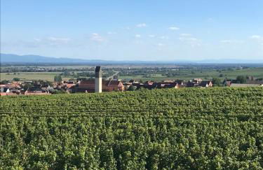 Schwalmala Logement calme au coeur du vignoble - Foto 22