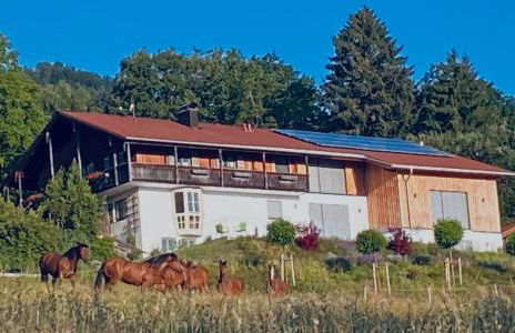 Haus Vogl - Fewo mit priv. Sauna und traumhaften Salzwasser-Pool - Foto 31