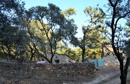 Nature Space Jabugo - Foto 27