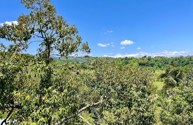 Felcordz Nature Farm and Resort - Foto 13