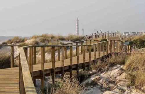 Sardine House - Foto 18