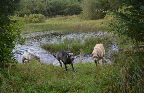 Bumble’s Barn - Foto 23