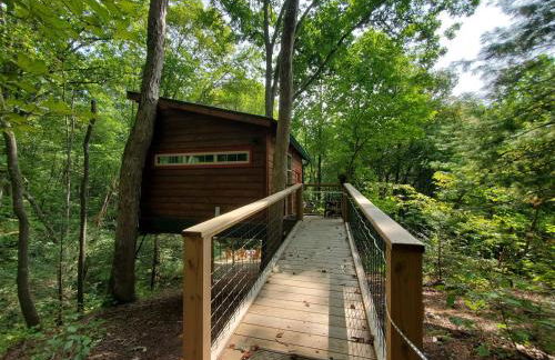 Dreamy Treehouse Getaway Dog FriendlyDisc Golf - Foto 6