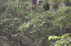 La casa di Chira con Casa Silvestro - Foto 23
