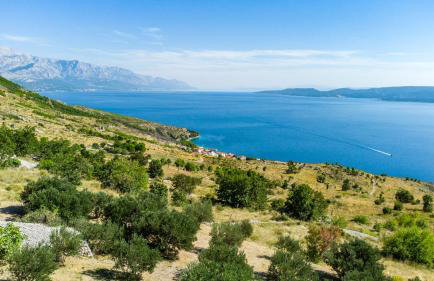 Dalmatian stone villa with heated pool - Foto 43