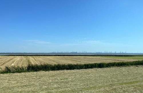 Tinyhouse WeserNest - Foto 11