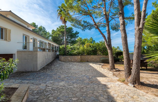 Orquidea 34 - Photo 45