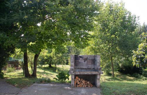 Al frutteto - Foto 5