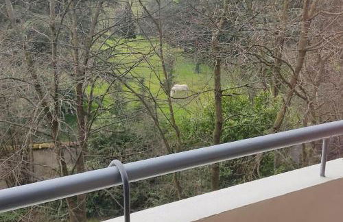 Appart Décines Eurexpo Groupama LDLC Aréna St Ex - Foto 27