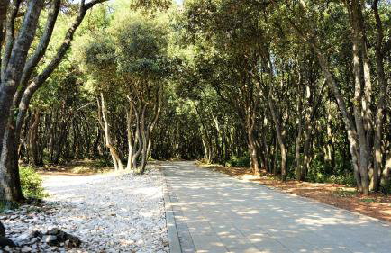 Apartmani Lisicak - Photo 40