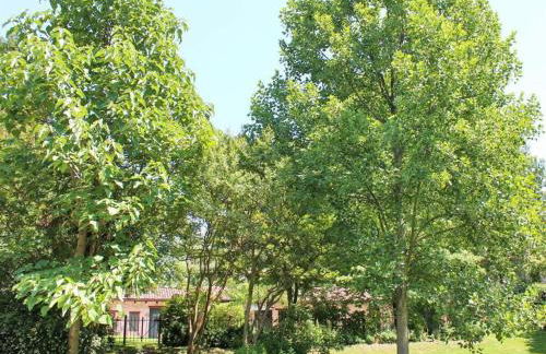 "Artuico" with garden in the castle - Foto 22