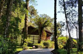 Casa Goldoni Gramado - Photo 11