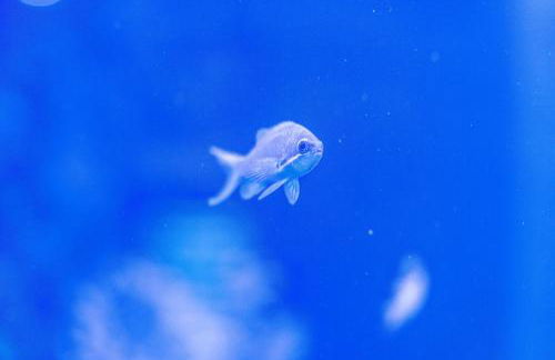 Brierley Club Hideaway Chic 7 Star Retreat - Foto 35