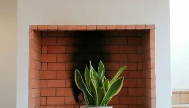 Casa das Amendoeiras - Foto 4