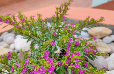 Ruralna kuća za odmor CVEPUK - Foto 49