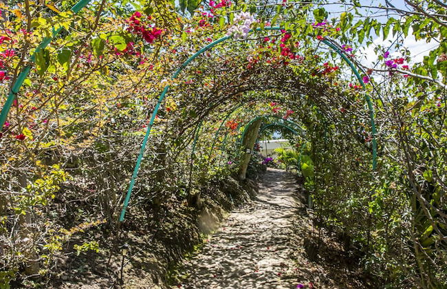 Sunset Palm Lodge - Foto 69