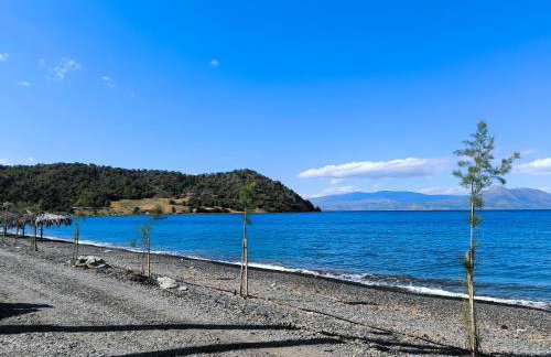 Palm tree house by the beach - Foto 40