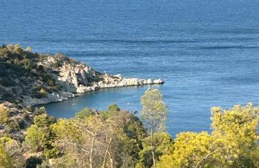 Mikro Amoni Beach Villa - Foto 30