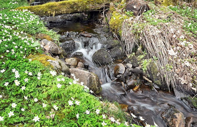 7 Person Holiday Home in Allingsas, Sverige - Foto 2