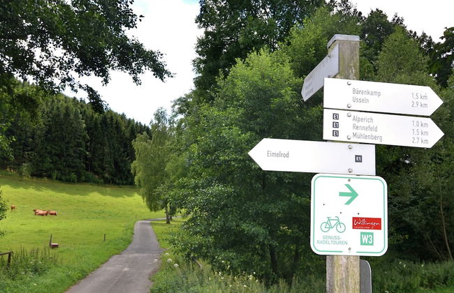 Vibrant Apartment in Willingen With Private Terrace - Photo 44