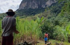 Casa Ipê Rosa - Photo 16