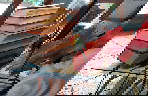 Grekis hotel & Apartments - Photo 3