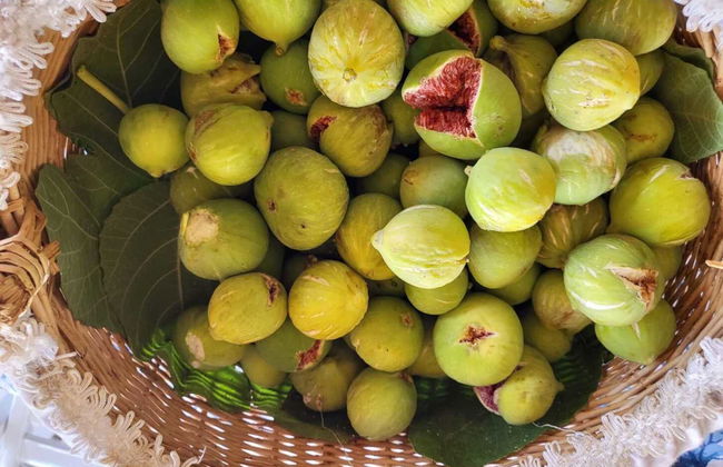 Stazzu lu Bulioni - Foto 17