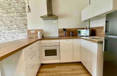 Jolie T2 40m2 hôpitaux avec terrasse et parking - Foto 5