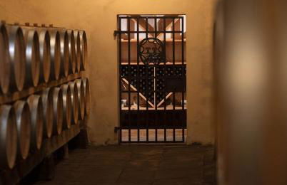 Castello Pomino - Foto 6