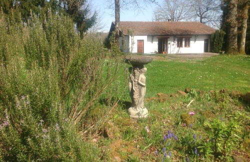 L’Etang Carp fishing lake and Gite - Foto 9