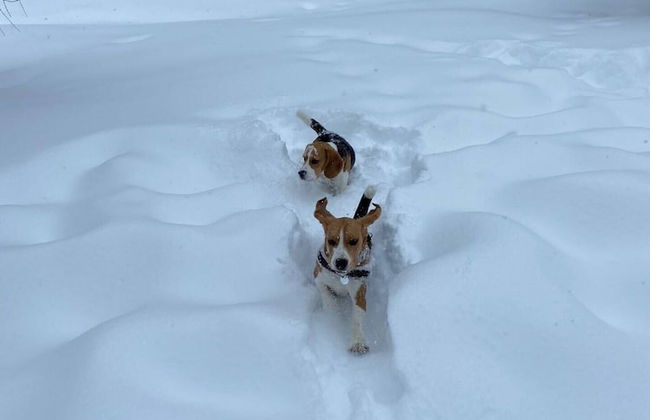 Riederhof 355 - Foto 12