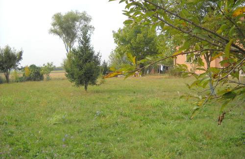Agriturismo Campi di Grano - Foto 59