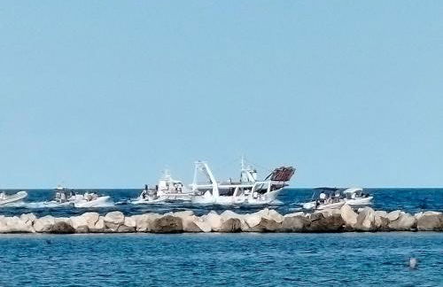 La Magnolia a 500mt dal mare - Foto 56