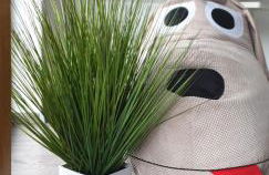 Ferienwohnungen Nahrstedt - Foto 23