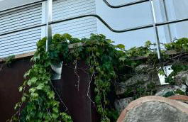 Casa vistas al mar con piscina y barbacoa - Photo 17