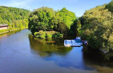 Im Löwental Galeriewohnung an der Ruhr, 2 Schlafzimmer auf 2 Ebenen - Foto 40